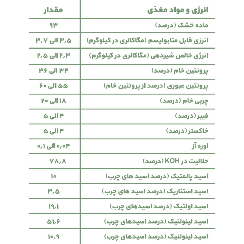 اکسوی