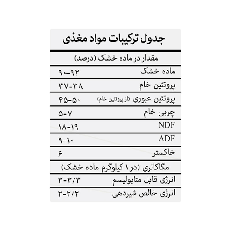 اکوزان