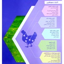 پودر چربی پرشیافت سیلور (خالص)