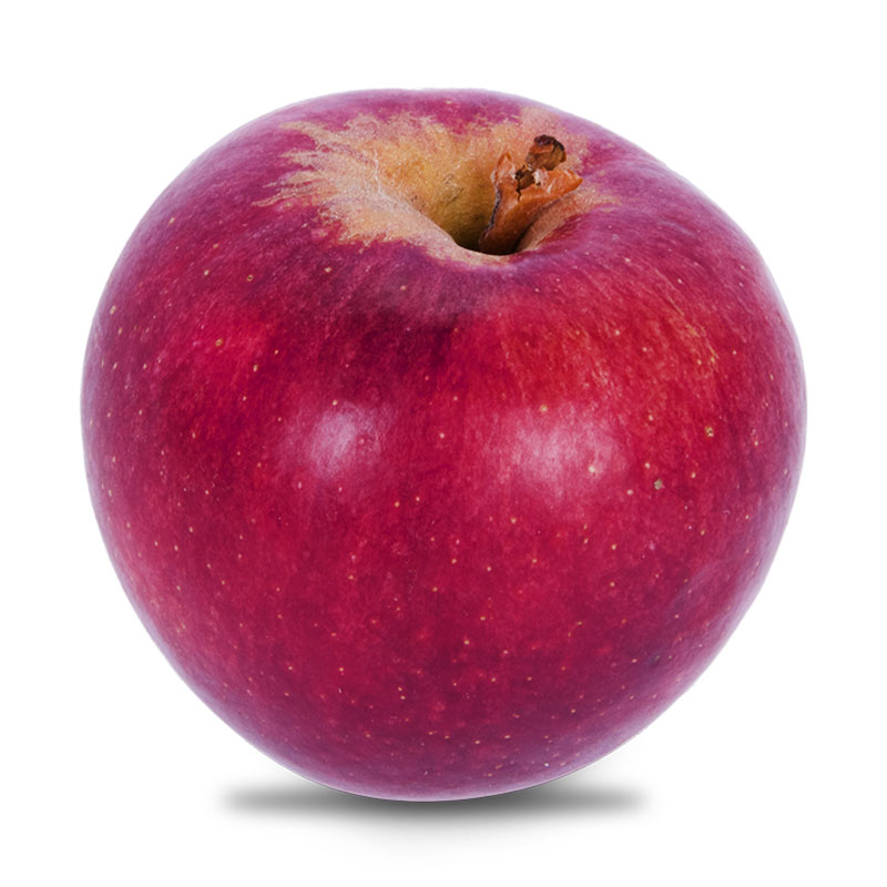 نهال سیب Annurca