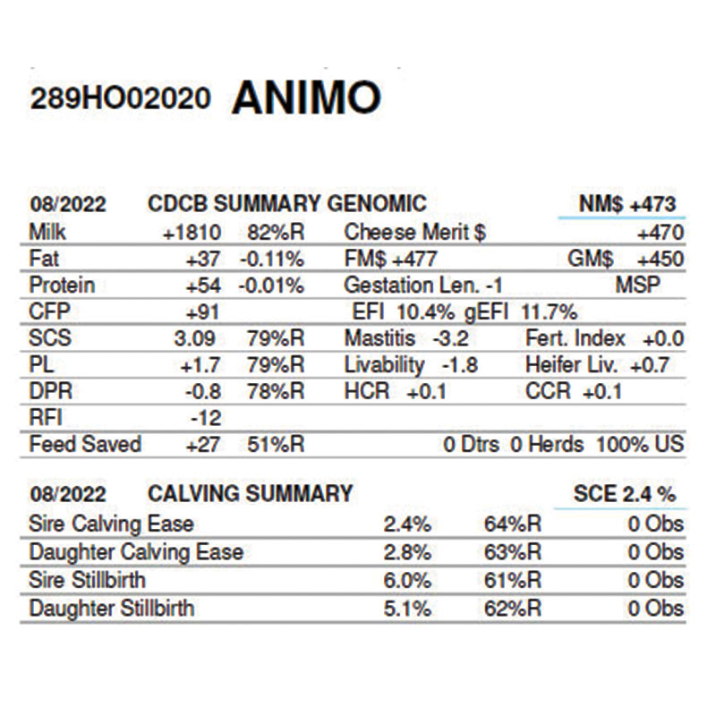 اسپرم 289HO02020 ANIMO