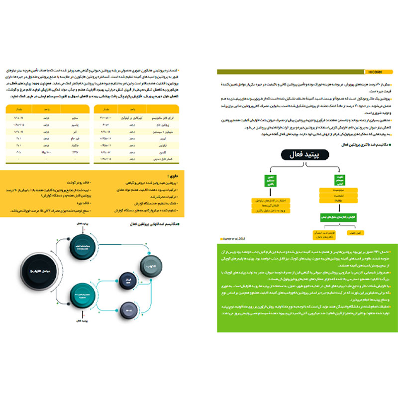 کنسانتره پروتئینی هایکورن